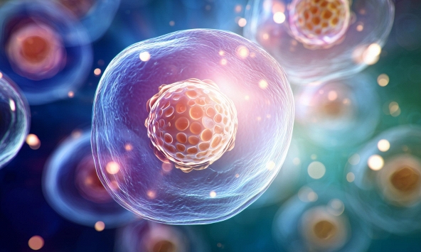 “Sạc lại” tế bào già yếu, hướng đi mới trong điều trị bệnh lão hóa