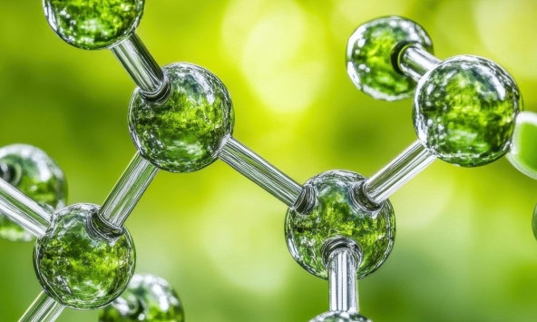 Hợp chất nấm chống ung thư được tổng hợp thành công sau 55 năm