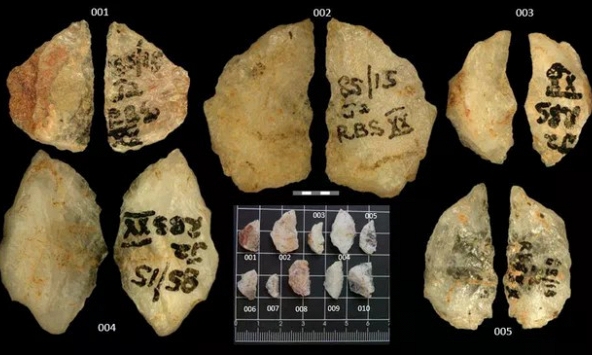 Nam Phi phát hiện mũi tên tẩm độc cổ nhất hành tinh