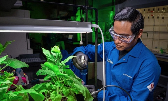 “Áo giáp” dạng xịt cho cây trồng, giải pháp tăng cường an ninh lương thực toàn cầu