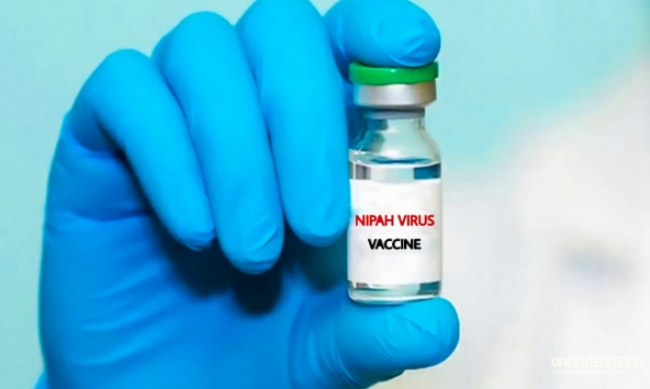 Nhật Bản chuẩn bị thử nghiệm lâm sàng vaccine ngừa virus Nipah