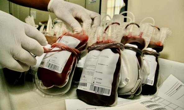 Nghiên cứu phát triển chip thông minh giúp sàng lọc máu hiến kém chất lượng