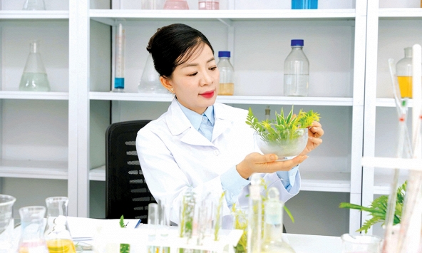 Nhật ký của một người làm khoa học bận rộn