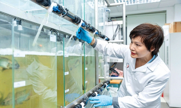 PGS.TS Ngô Thị Thúy Hường, người “gieo mầm xanh từ những điều nhỏ bé”