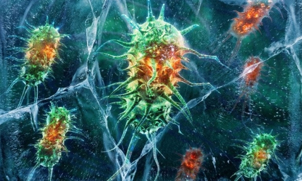 Phát hiện vi khuẩn 5.000 năm tuổi kháng nhiều loại kháng sinh hiện đại