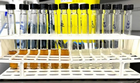 Công nghệ dùng bánh mì thừa làm nguyên liệu trong sản xuất hóa chất