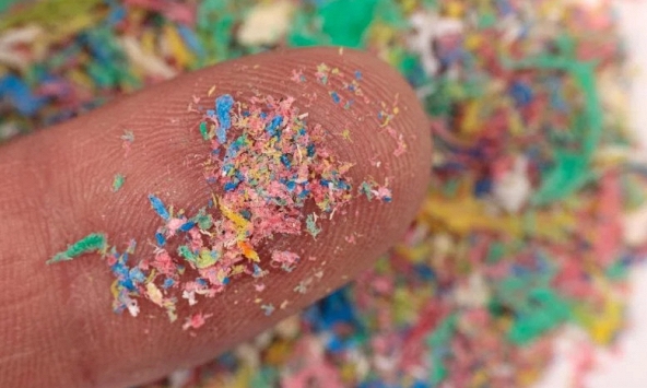 Phát hiện vi nhựa dày đặc trong khối u tuyến tiền liệt