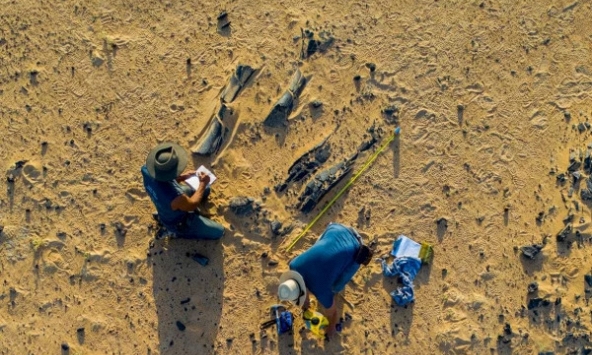 Giải mã hóa thạch “quái thú” cổ đại giữa sa mạc Sahara