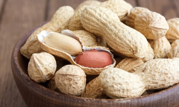 Các nhà khoa học tìm ra hướng ứng dụng thực tiễn tuyệt vời cho vỏ lạc