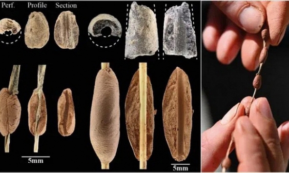 Kho báu trang sức tiền sử 12.000 năm hé lộ câu chuyện về sự kết nối của loài người