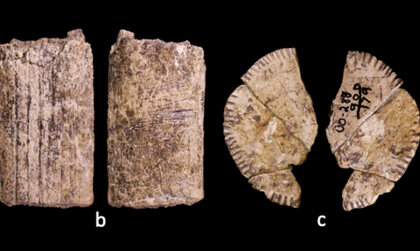 Loài người đã biết “tung xúc xắc” may rủi từ Kỷ Băng Hà?