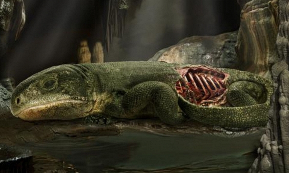 Hóa thạch “xác ướp” 289 triệu năm hé lộ bước ngoặt tiến hóa của sự sống trên cạn