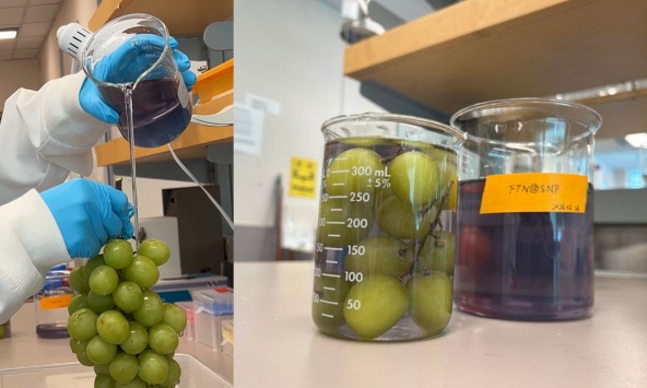 Công nghệ nước rửa sinh học giúp nông sản sạch hóa chất, kéo dài thời gian bảo quản