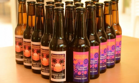 Israel nghiên cứu phát triển men bia “tăng cường sức khỏe”