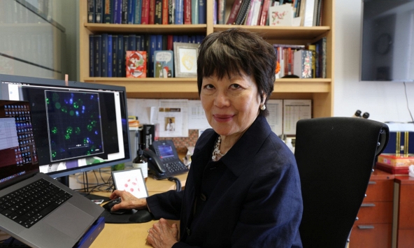 Nữ khoa học gia gốc Á giành “Oscar khoa học” nhờ nghiên cứu tiên phong về chỉnh sửa gen trong điều trị rối loạn máu di truyền