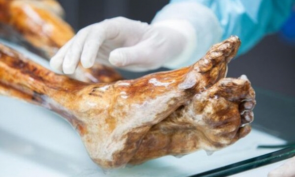Phát hiện dấu hiệu sự sống trên xác ướp hơn 5.300 năm