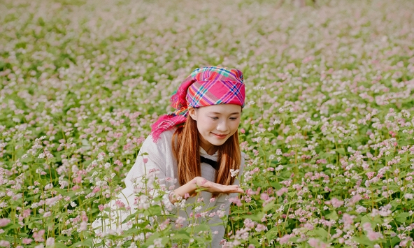 Mục sở thị tam giác mạch khoe sắc, hoa xác pháo tím điểm tô đỉnh Fansipan