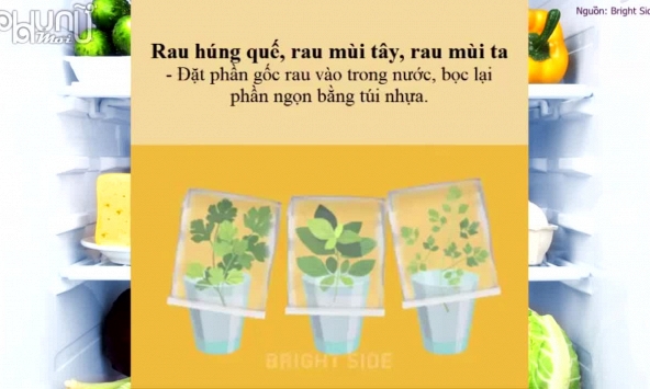 Bảo quản thực phẩm tươi lâu trong tủ lạnh: không khó!