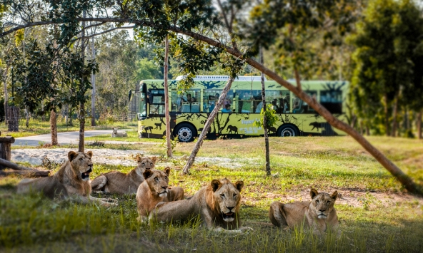 Giữ “kỷ lục kép” thế giới - Vinpearl Safari Phú Quốc “khủng” cỡ nào?