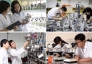 Bộ KH&CN ban hành khung hướng dẫn phát triển khoa học, công nghệ, đổi mới sáng tạo và chuyển đổi số tại địa phương