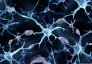 Phát hiện bất ngờ: Lithium giúp đảo ngược triệu chứng bệnh Alzheimer ở chuột