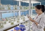 Nữ tiến sĩ với dự án xanh hồi sinh đất nhiễm mặn bằng kỷ tử đen