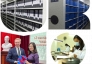 Viện Phim Việt Nam – Bảo tàng tư liệu hình ảnh động quốc gia: Gìn giữ ký ức dân tộc qua từng thước phim