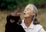 Huyền thoại Jane Goodall và di sản bất tử của người phụ nữ thay đổi cách ta nhìn về động vật